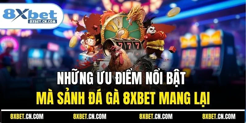 Những ưu điểm nổi bật mà sảnh đá gà 8XBET mang lại