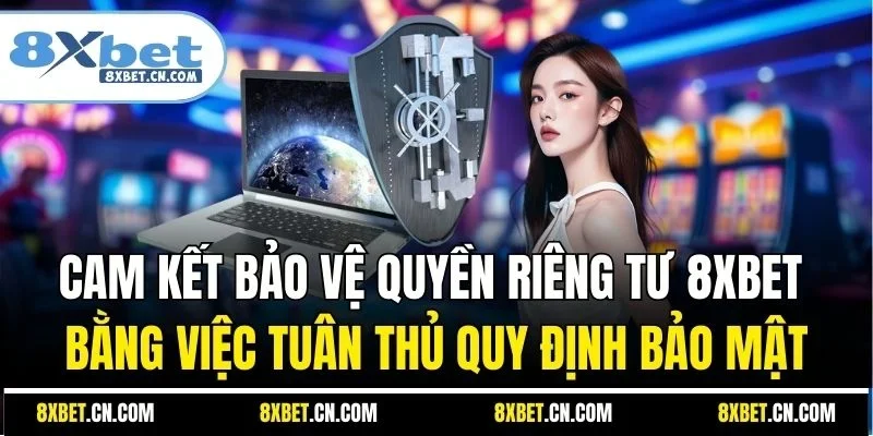 Cam kết bảo vệ quyền riêng tư 8XBET bằng việc tuân thủ quy định bảo mật